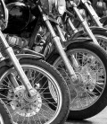 A row of motorcycles lined up ready for a ride