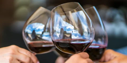 Three glasses of wine elegantly displayed at a vineyard in Valle de Guadalupe