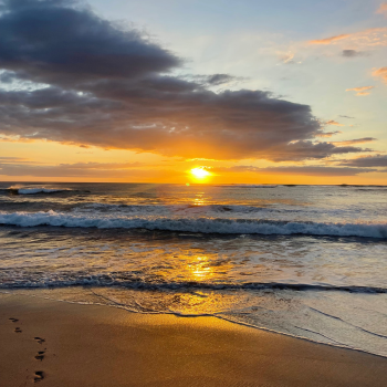 Las Mejores Playas de Mexico